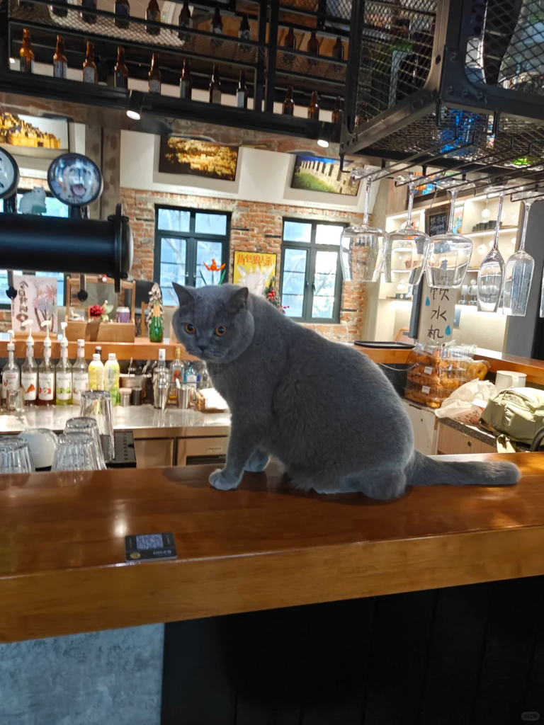 Chongqing Desti Youth Park Hostel