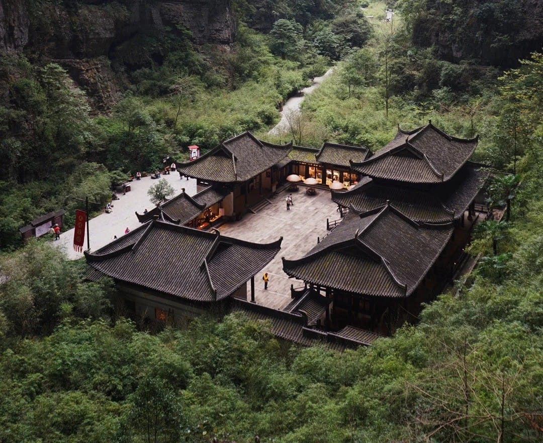 The  Wulong Day Trip Guide: Why You Should Skip the DIY Stress and Book a Tour