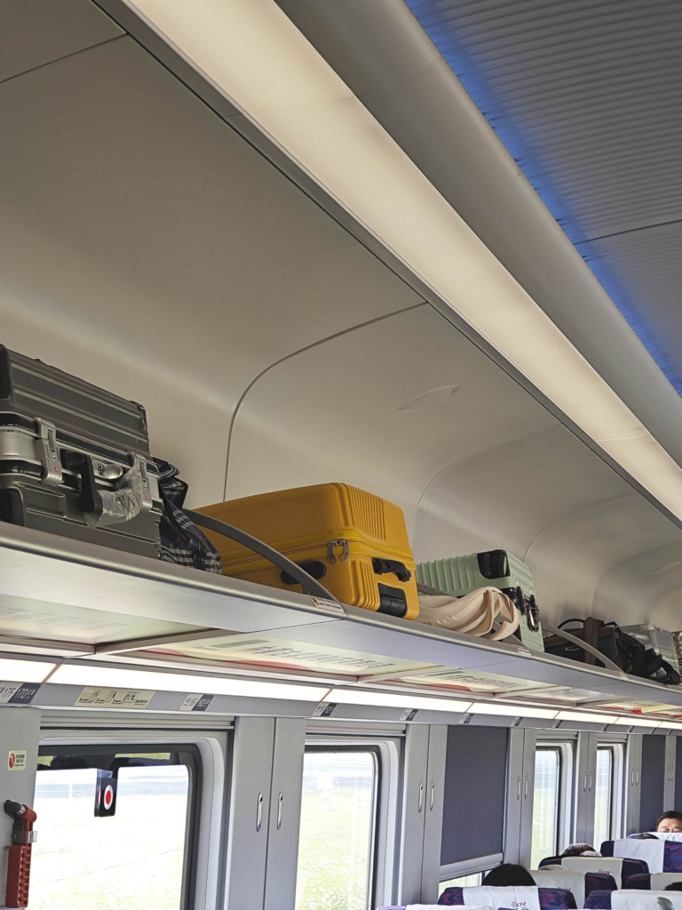 A Foreigner's Guide to Taking High-Speed Trains in China