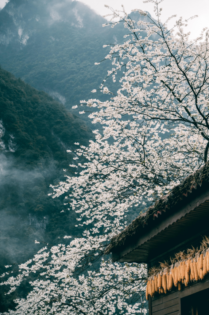 Fuling Day Trip Guide: Exploring the 816 Nuclear Project & Wuling Mountain Great Rift Valley