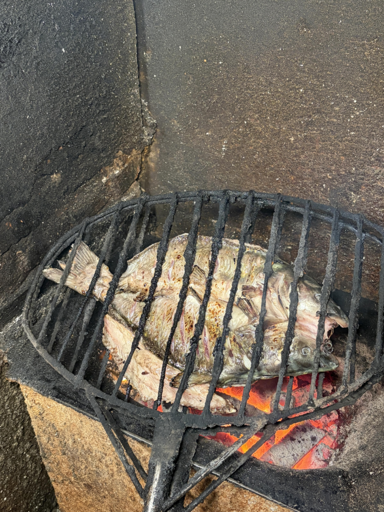 Chongqing Food Guide: 6 Hearty One-Dish Meals You Can’t Miss (Real Talk From a Traveler Who’s Been There)