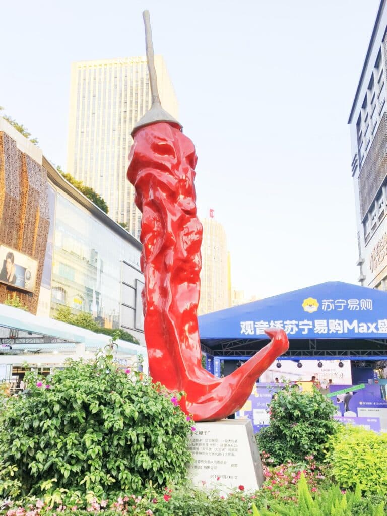 Chongqing Food Guide: 6 Hearty One-Dish Meals You Can’t Miss (Real Talk From a Traveler Who’s Been There)