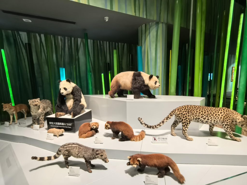 Chengdu Research Base of Giant Panda Breeding